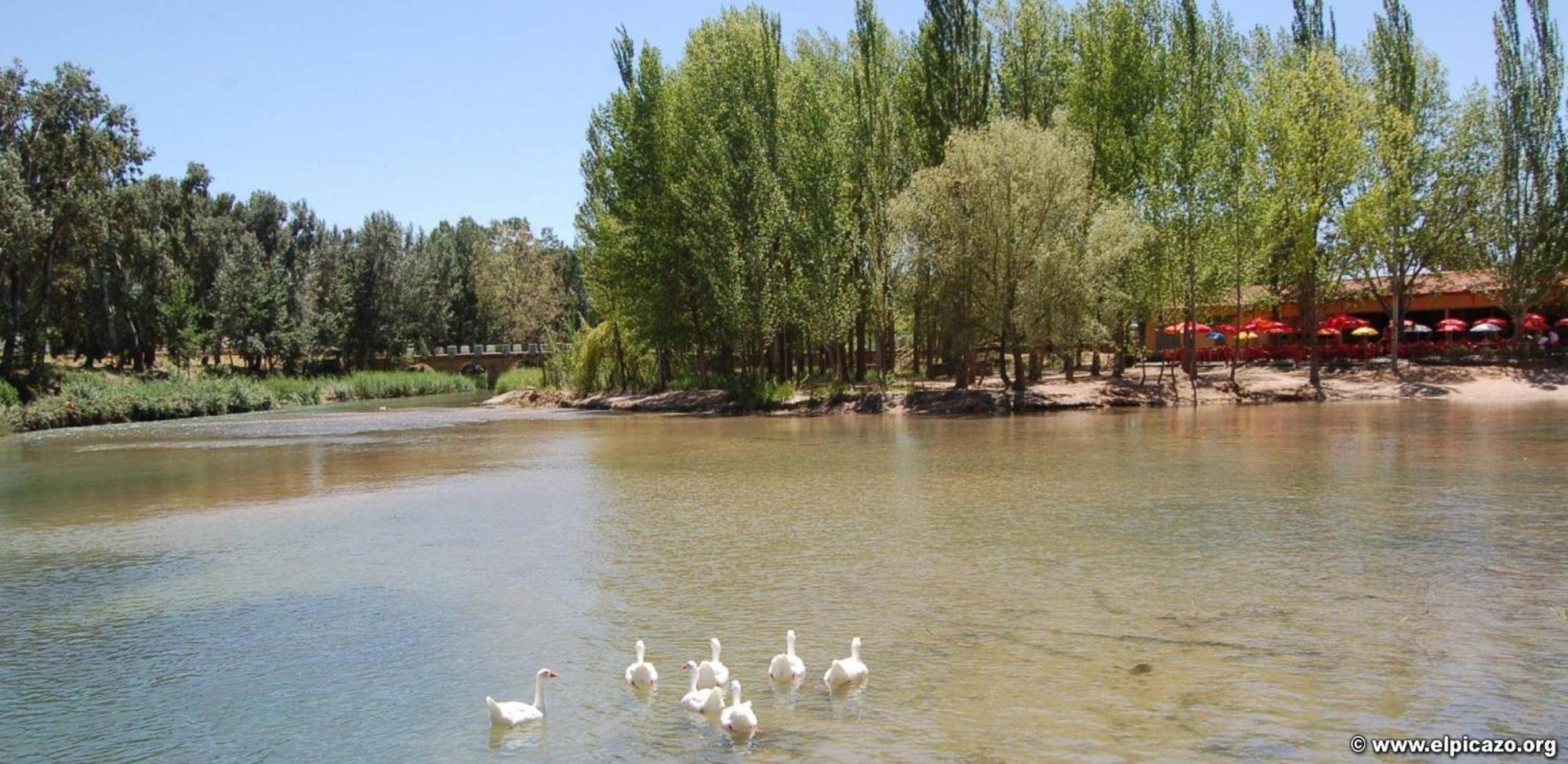Casa Rural Las Tejas El Picazo Kültér fotó